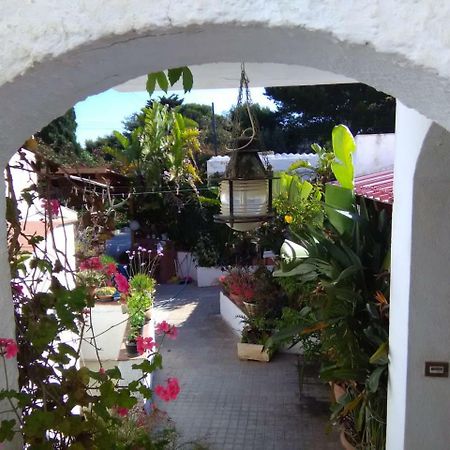 Le Case Di Vito Favignana Eksteriør billede
