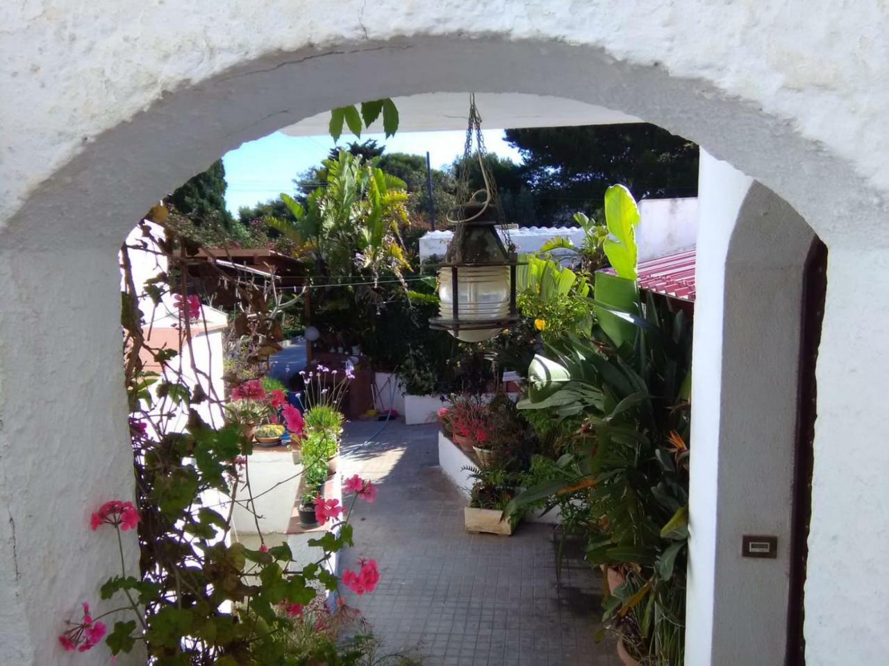 Le Case Di Vito Favignana Eksteriør billede